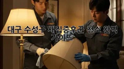 대구 수성구 새집증후군 청소 완벽 가이드